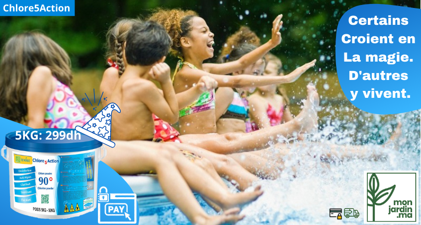 traitement piscine