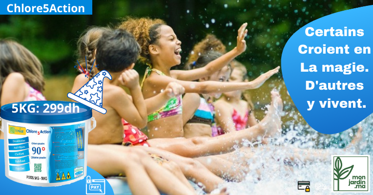 traitement piscine